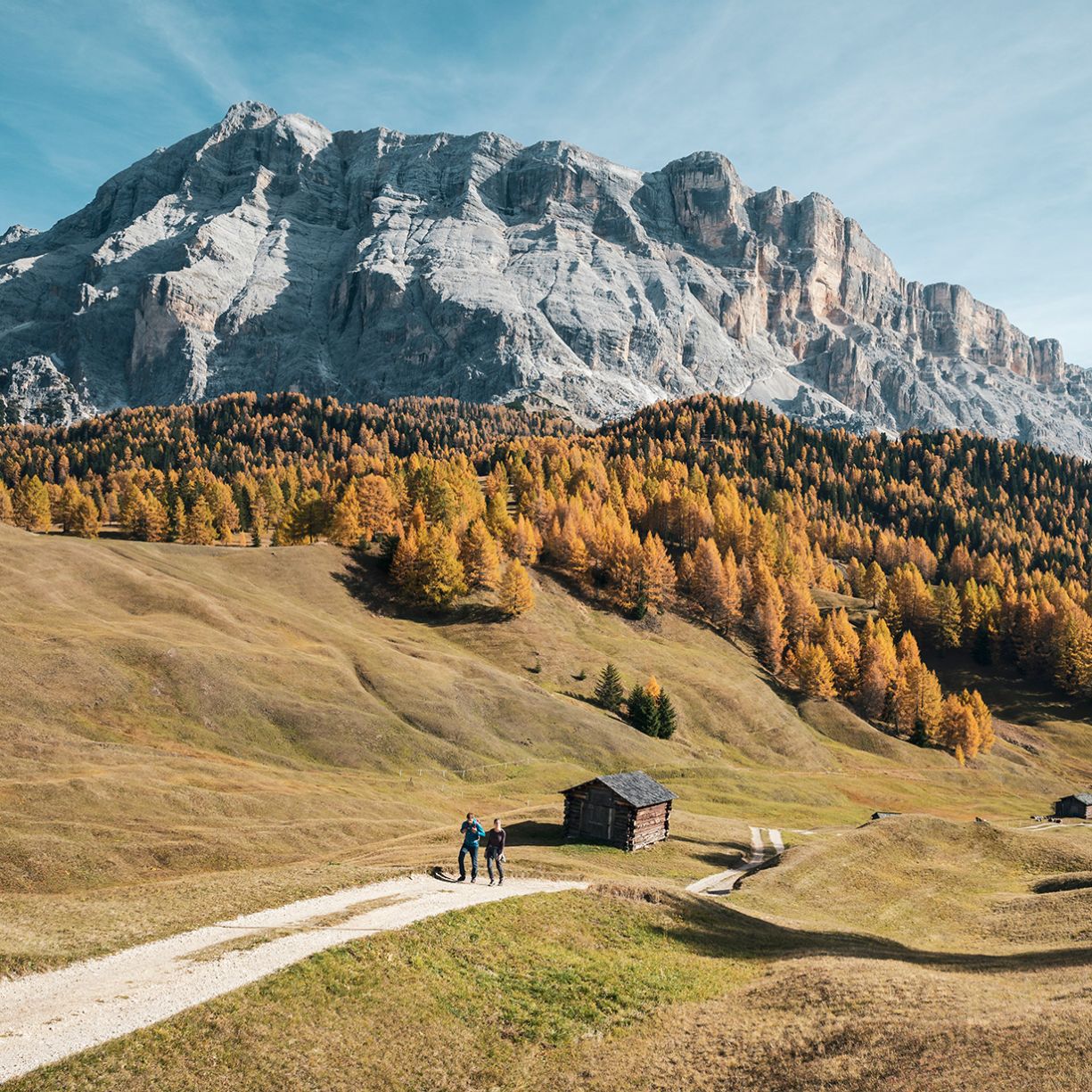 Escursione tra boschi dorati e panorami dolomitici